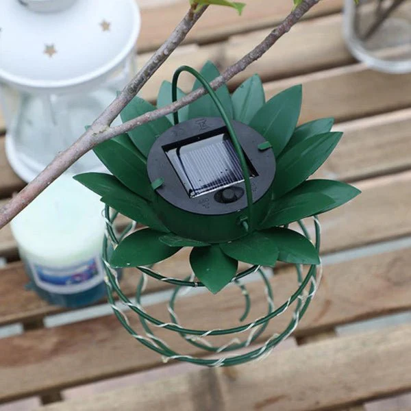 Miniatuur 5