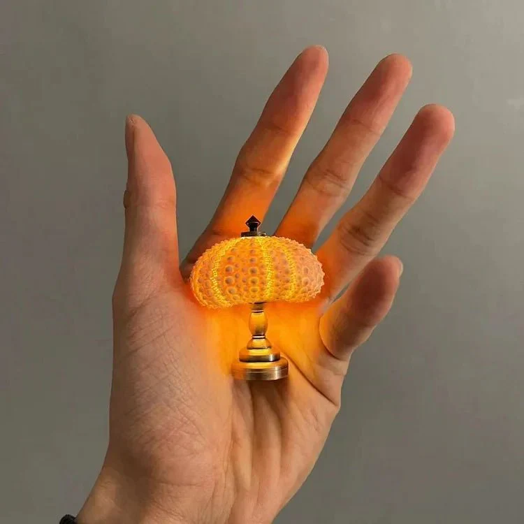 Miniatuur 3