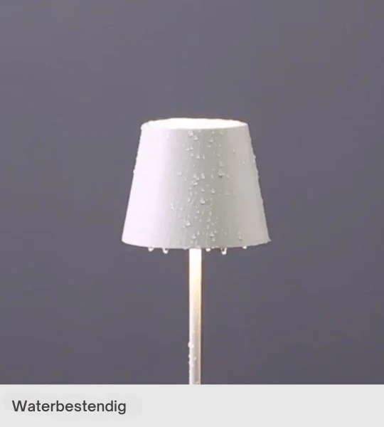 Miniatuur 6