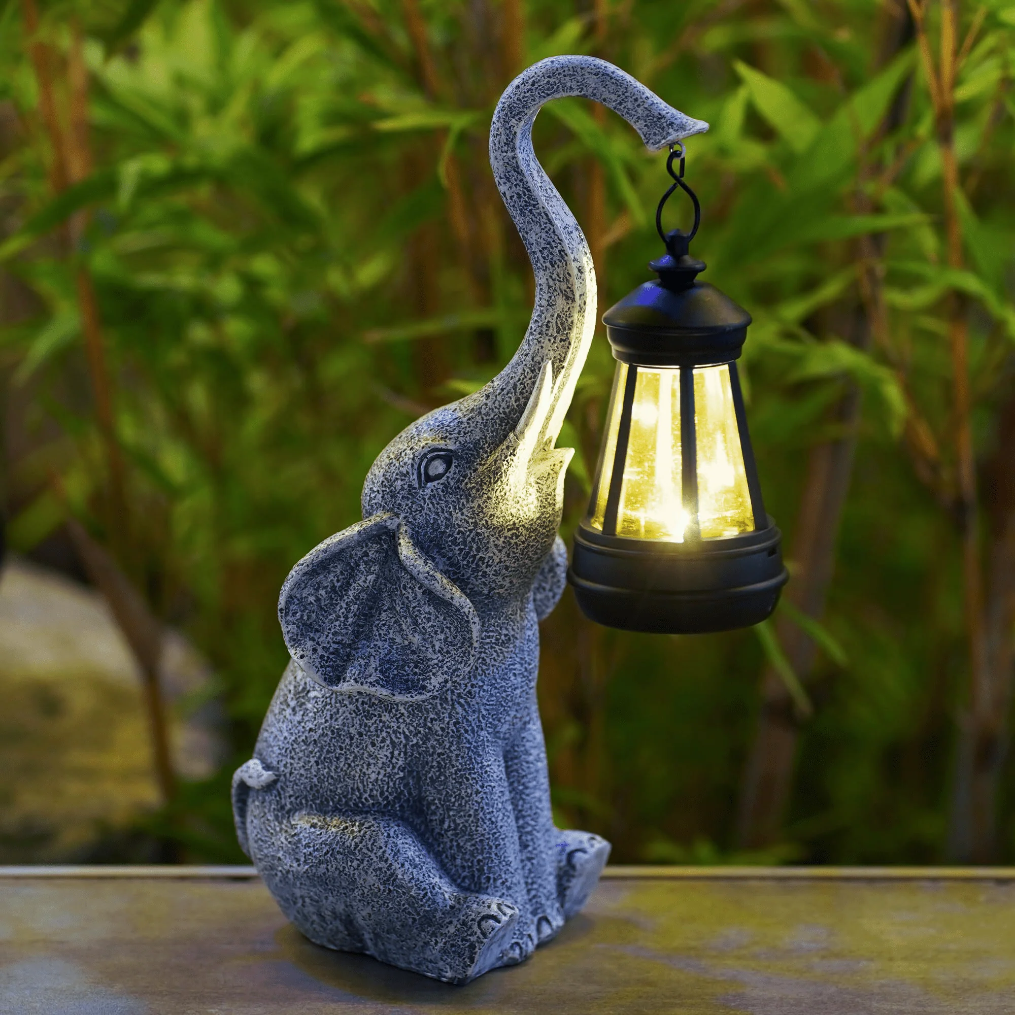 Miniatuur 3