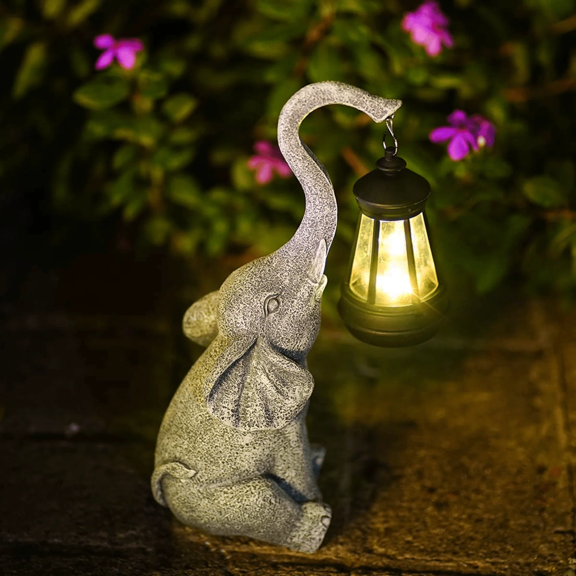 Miniatuur 5