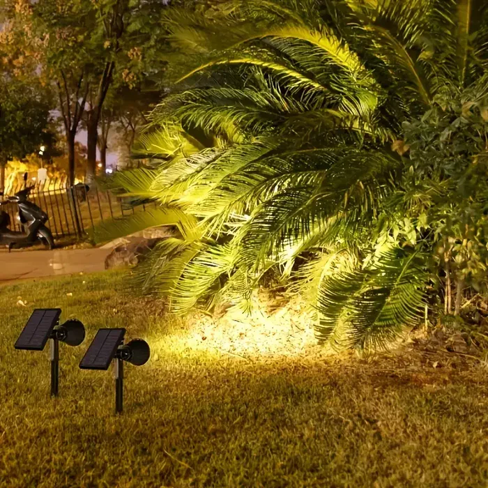 Miniatuur 2