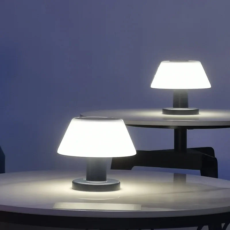 Miniatuur 3